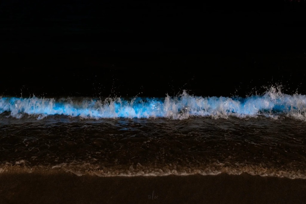 大梅沙海滩夜景